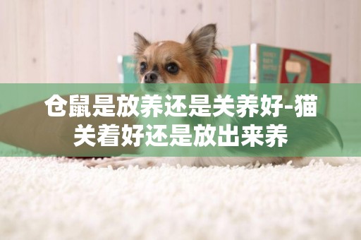 倉鼠是放養還是關養好-貓關著好還是放出來養