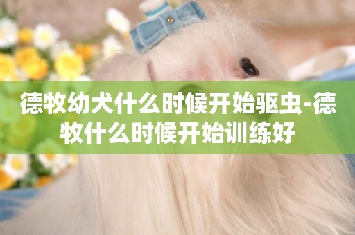 德牧幼犬什么時候開始驅蟲-德牧什么時候開始訓練好