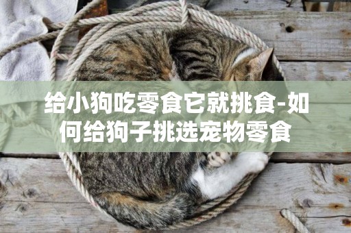給小狗吃零食它就挑食-如何給狗子挑選寵物零食