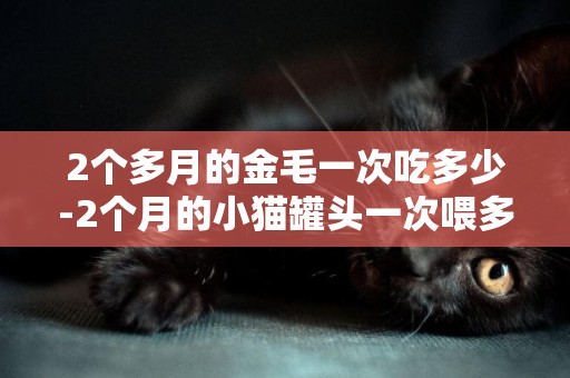 2個多月的金毛一次吃多少-2個月的小貓罐頭一次喂多少