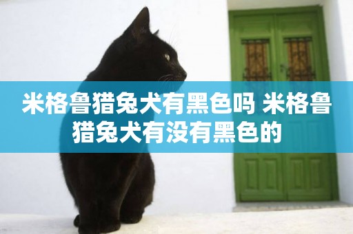 米格魯獵兔犬有黑色嗎 米格魯獵兔犬有沒有黑色的