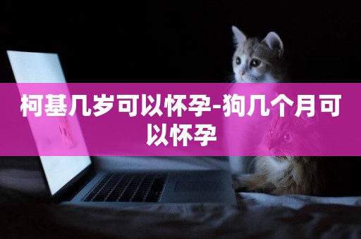 柯基幾歲可以懷孕-狗幾個月可以懷孕