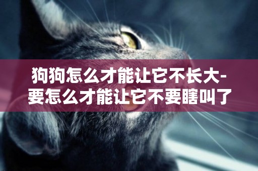 狗狗怎么才能讓它不長大-要怎么才能讓它不要瞎叫了