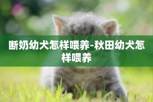 斷奶幼犬怎樣喂養-秋田幼犬怎樣喂養