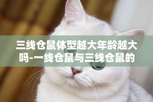 三線倉鼠體型越大年齡越大嗎-一線倉鼠與三線倉鼠的6大區別有哪些
