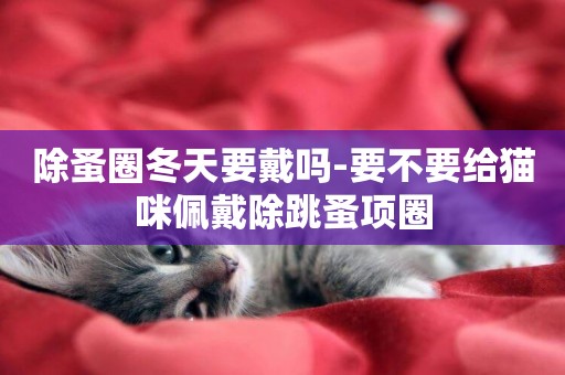 除蚤圈冬天要戴嗎-要不要給貓咪佩戴除跳蚤項圈