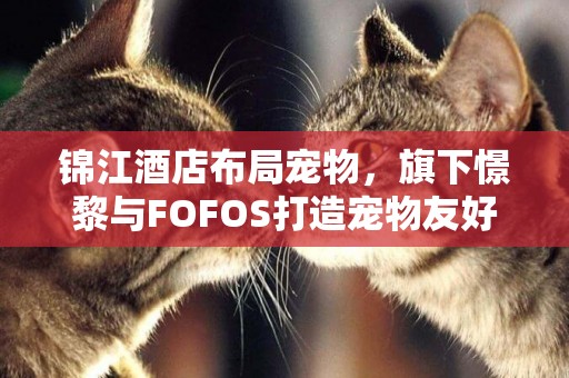 錦江酒店布局寵物，旗下憬黎與FOFOS打造寵物友好型公寓