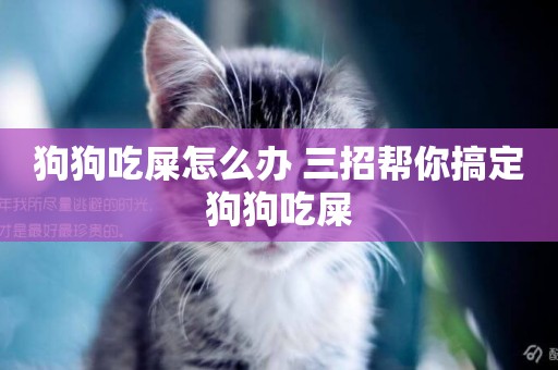 狗狗吃屎怎么辦 三招幫你搞定狗狗吃屎