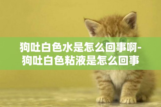 狗吐白色水是怎么回事啊-狗吐白色粘液是怎么回事