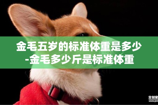金毛五歲的標準體重是多少-金毛多少斤是標準體重