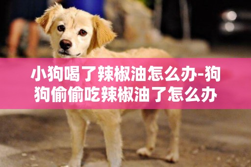 小狗喝了辣椒油怎么辦-狗狗偷偷吃辣椒油了怎么辦