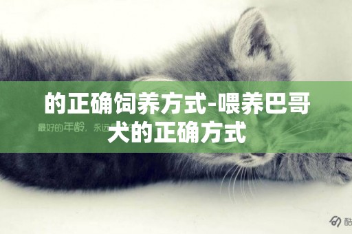 的正確飼養方式-喂養巴哥犬的正確方式