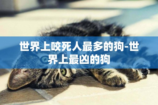 世界上咬死人最多的狗-世界上最兇的狗