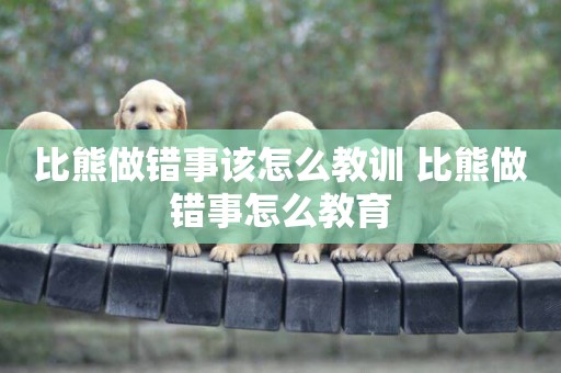 比熊做錯事該怎么教訓 比熊做錯事怎么教育