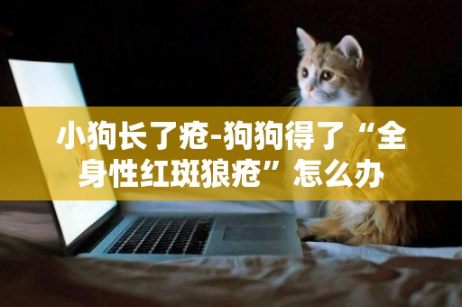 小狗長了瘡-狗狗得了“全身性紅斑狼瘡”怎么辦