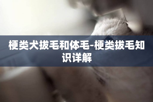梗類犬拔毛和體毛-梗類拔毛知識詳解