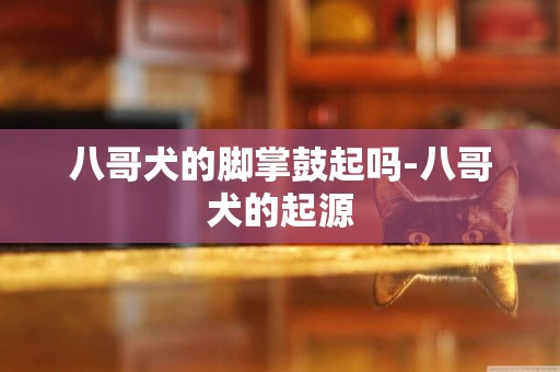 八哥犬的腳掌鼓起嗎-八哥犬的起源