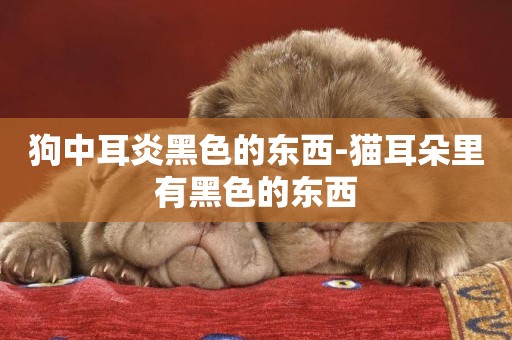 狗中耳炎黑色的東西-貓耳朵里有黑色的東西