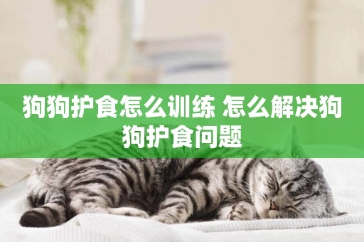 狗狗護食怎么訓練 怎么解決狗狗護食問題
