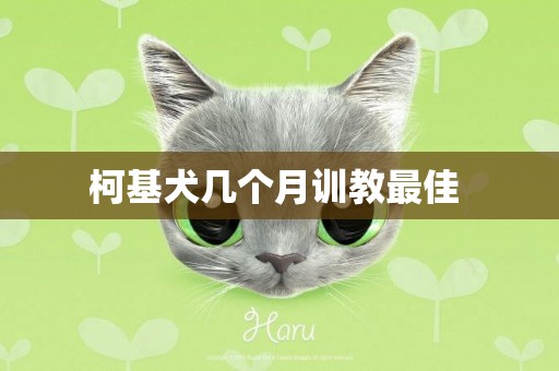 柯基犬幾個月訓教最佳 
