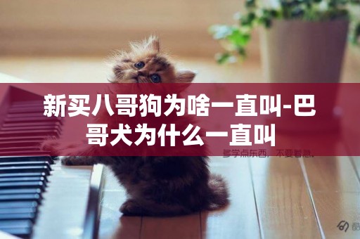 新買八哥狗為啥一直叫-巴哥犬為什么一直叫
