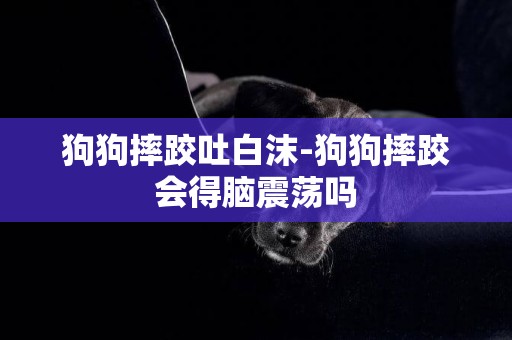 狗狗摔跤吐白沫-狗狗摔跤會得腦震蕩嗎