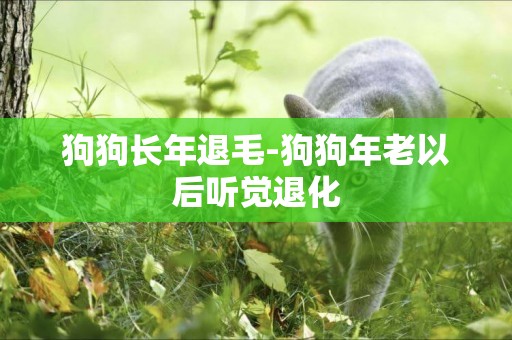 狗狗長年退毛-狗狗年老以后聽覺退化