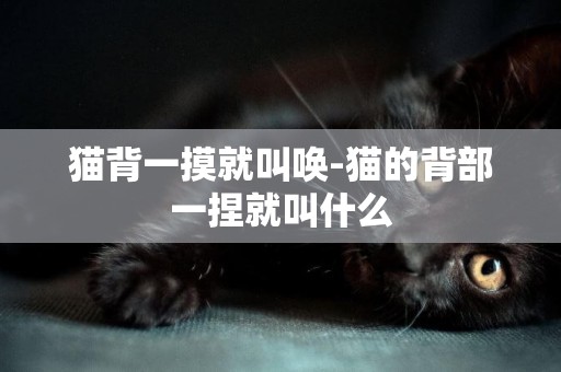 貓背一摸就叫喚-貓的背部一捏就叫什么