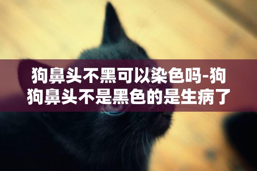 狗鼻頭不黑可以染色嗎-狗狗鼻頭不是黑色的是生病了嗎
