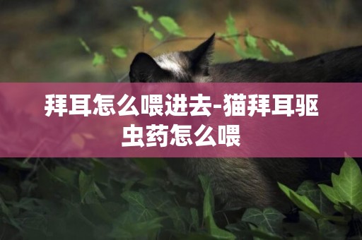 拜耳怎么喂進去-貓拜耳驅蟲藥怎么喂