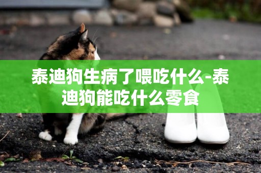 泰迪狗生病了喂吃什么-泰迪狗能吃什么零食