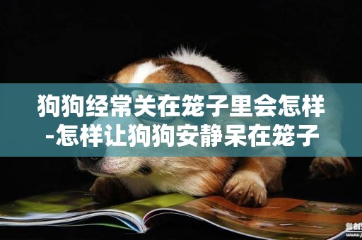 狗狗經常關在籠子里會怎樣-怎樣讓狗狗安靜呆在籠子里