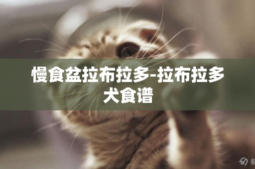 慢食盆拉布拉多-拉布拉多犬食譜