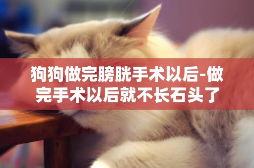 狗狗做完膀胱手術以后-做完手術以后就不長石頭了