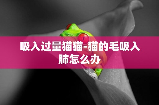 吸入過量貓貓-貓的毛吸入肺怎么辦