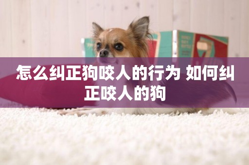 怎么糾正狗咬人的行為 如何糾正咬人的狗