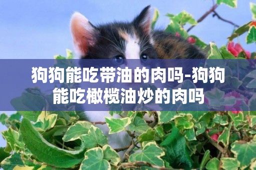 狗狗能吃帶油的肉嗎-狗狗能吃橄欖油炒的肉嗎