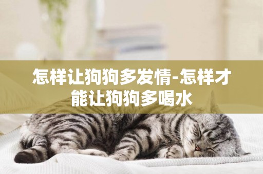 怎樣讓狗狗多發情-怎樣才能讓狗狗多喝水