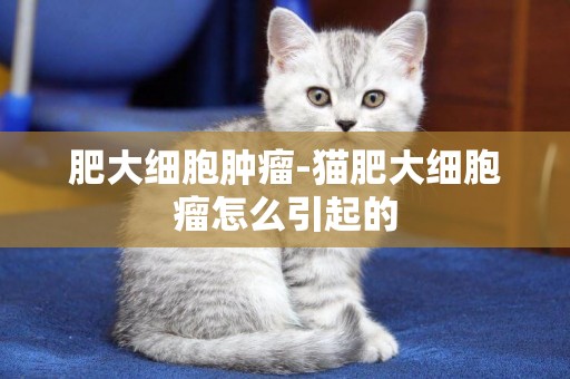 肥大細胞腫瘤-貓肥大細胞瘤怎么引起的