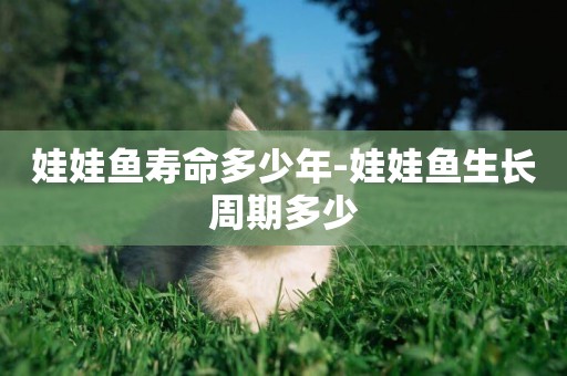 娃娃魚壽命多少年-娃娃魚生長周期多少