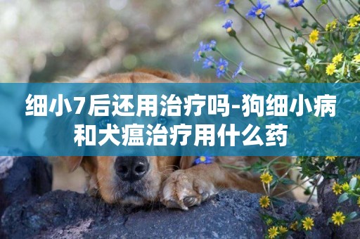 細小7后還用治療嗎-狗細小病和犬瘟治療用什么藥