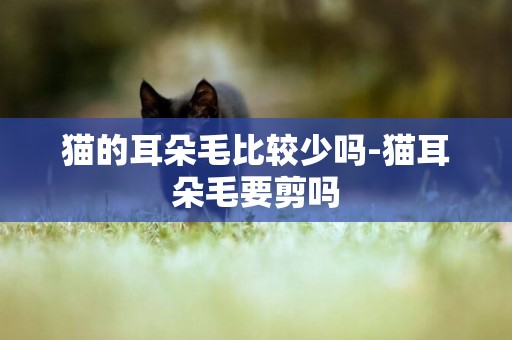 貓的耳朵毛比較少嗎-貓耳朵毛要剪嗎