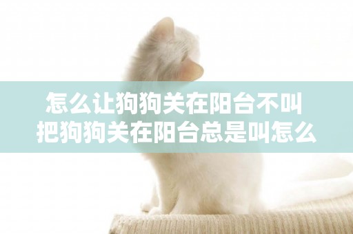 怎么讓狗狗關在陽臺不叫 把狗狗關在陽臺總是叫怎么辦