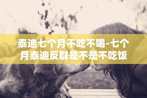 泰迪七個月不吃不喝-七個月泰迪反群是不是不吃飯