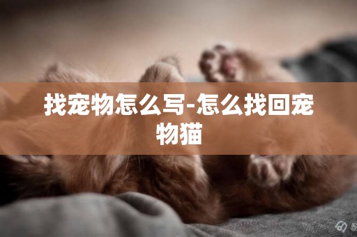 找寵物怎么寫-怎么找回寵物貓