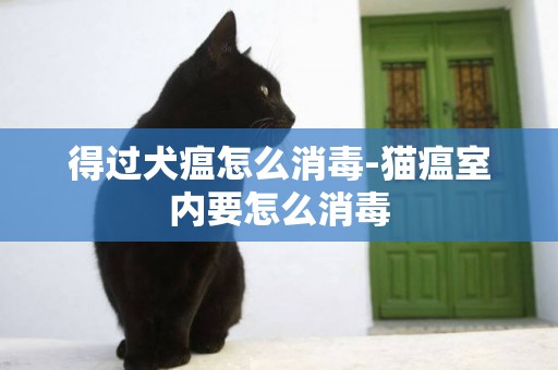 得過犬瘟怎么消毒-貓瘟室內要怎么消毒