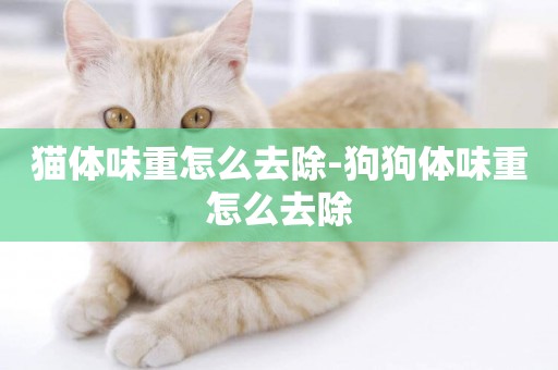 貓體味重怎么去除-狗狗體味重怎么去除