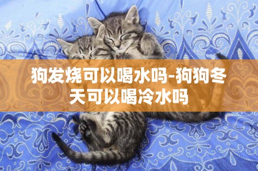 狗發燒可以喝水嗎-狗狗冬天可以喝冷水嗎