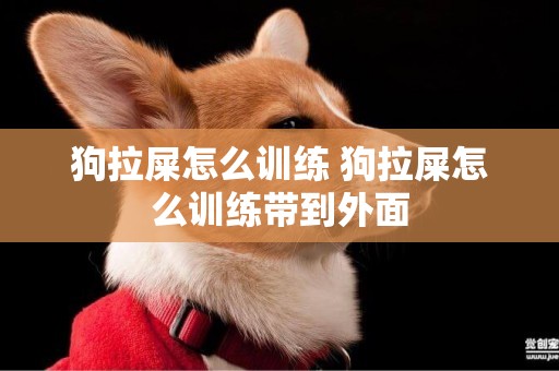 狗拉屎怎么訓練 狗拉屎怎么訓練帶到外面
