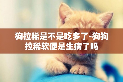 狗拉稀是不是吃多了-狗狗拉稀軟便是生病了嗎